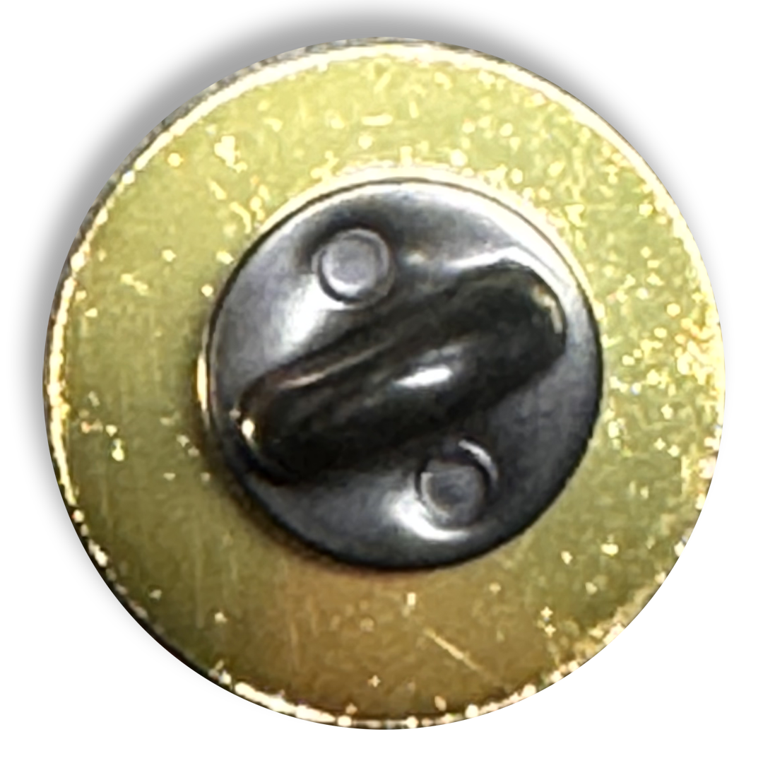 PBX-008-5 Israel pin Israeli flag round
