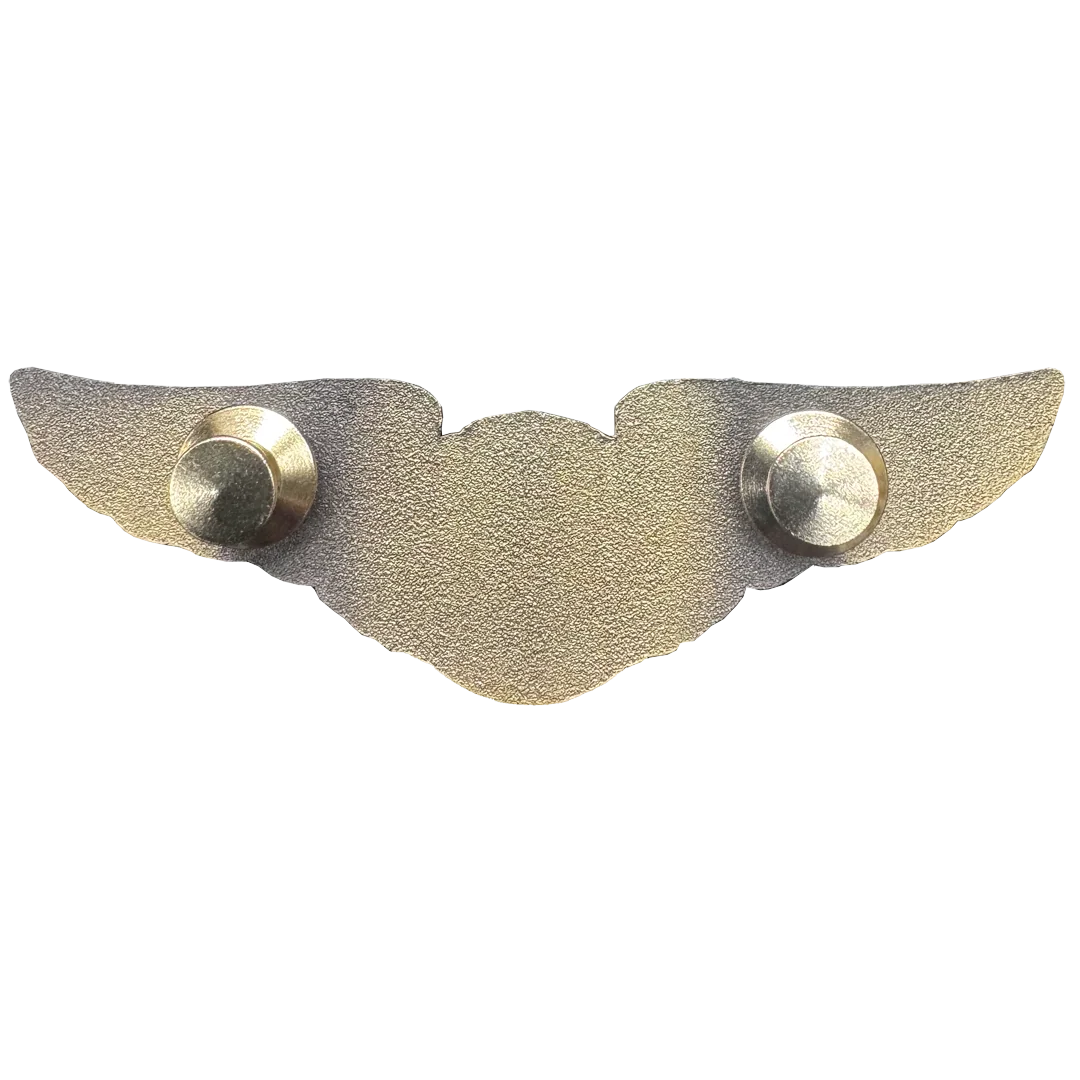 EL14-20 Commercial Pilot Wings pin Full size standard 3 inch great for Airline Crew
