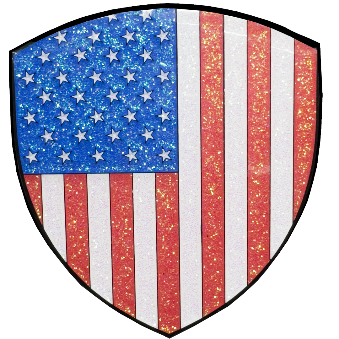 DL6-12 President Trump Vance 47 Challenge Coin MAGA Drill Baby Drill