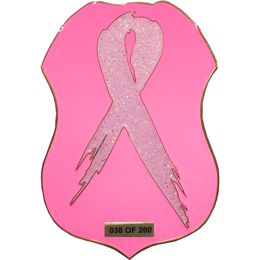 BL2-010A Thin Pink Line HSI Special Agent Breast Cancer Awareness Month 2025 Challenge Coin