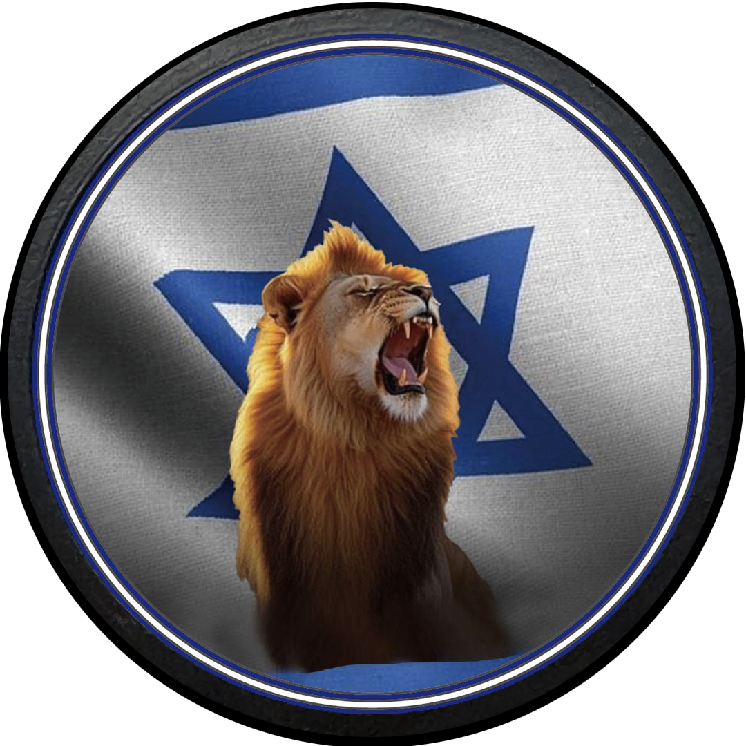 EL18-13 Israel Israeli IDF Operation Rising Lion Am Yisrael Chai Challenge Coin Iran