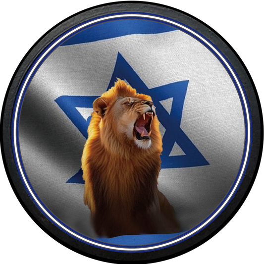 EL18-13 Israel Israeli IDF Operation Rising Lion Am Yisrael Chai Challenge Coin Iran