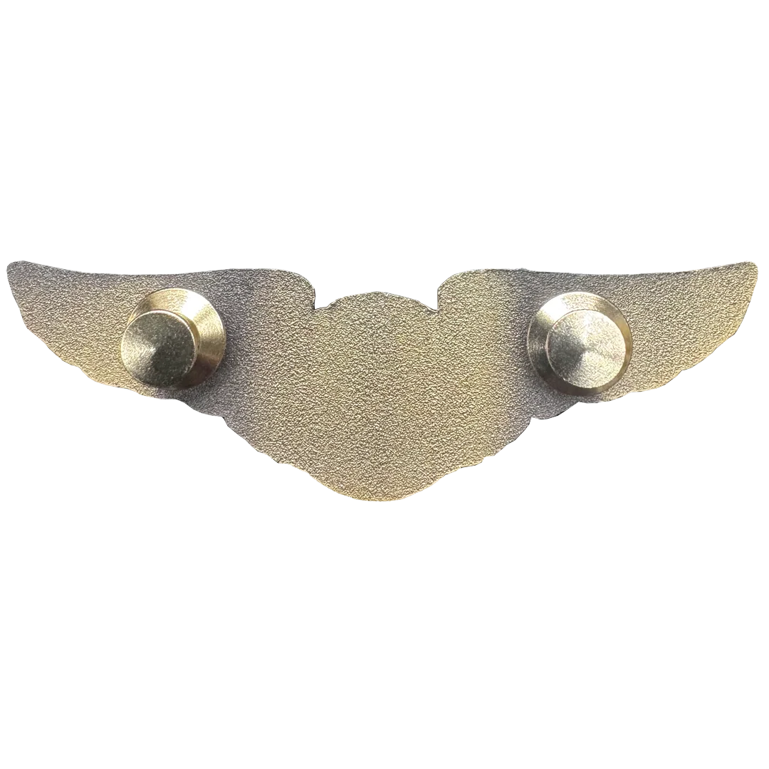 EL15-21 CFI Instructor Pilot Wings pin Full size standard 3 inch Certified Flight Instructor