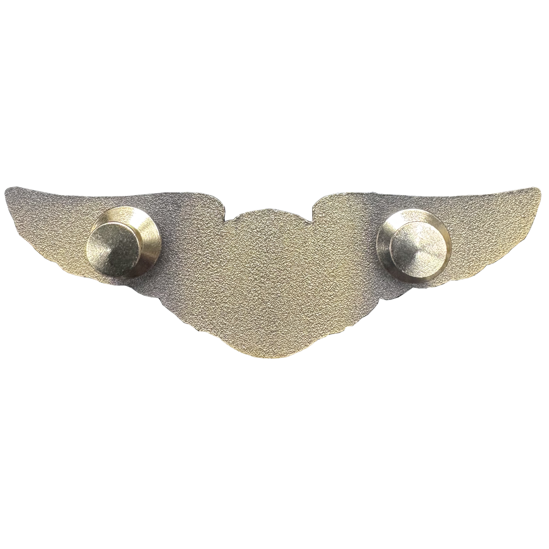 BL7-5 Private Pilot Wings pin Full size standard 3 inch great for Executive Jet Crew