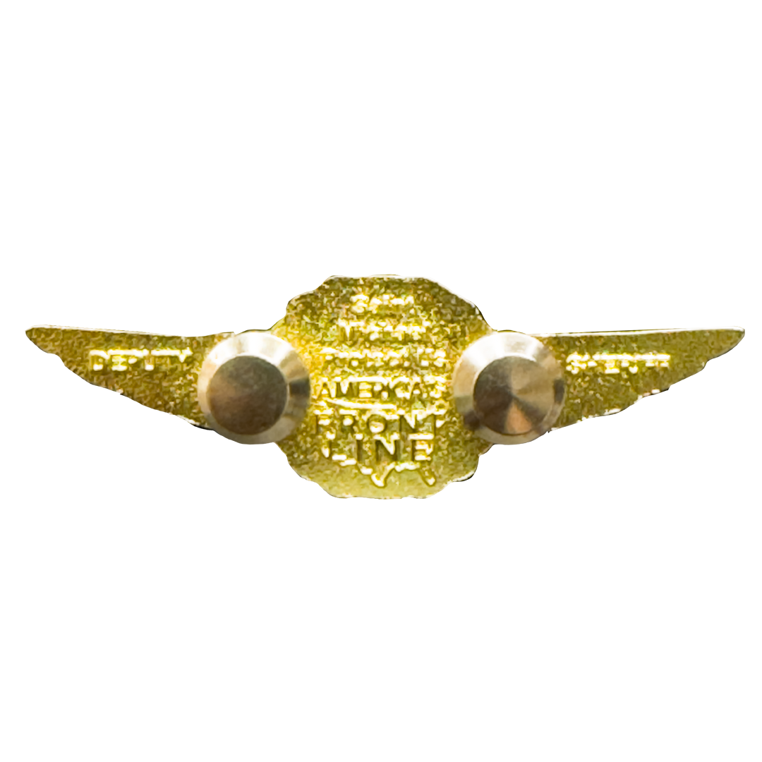 EL14-23 Deputy Sheriff Police Drone Pilot Full size UAS FAA Commercial Wings pin for uniform wear