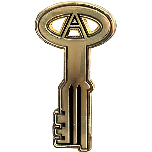 BL15-014 24KT Gold plated Correctional Officer Jail Prison Key pin CO Corrections Thin Gray Line