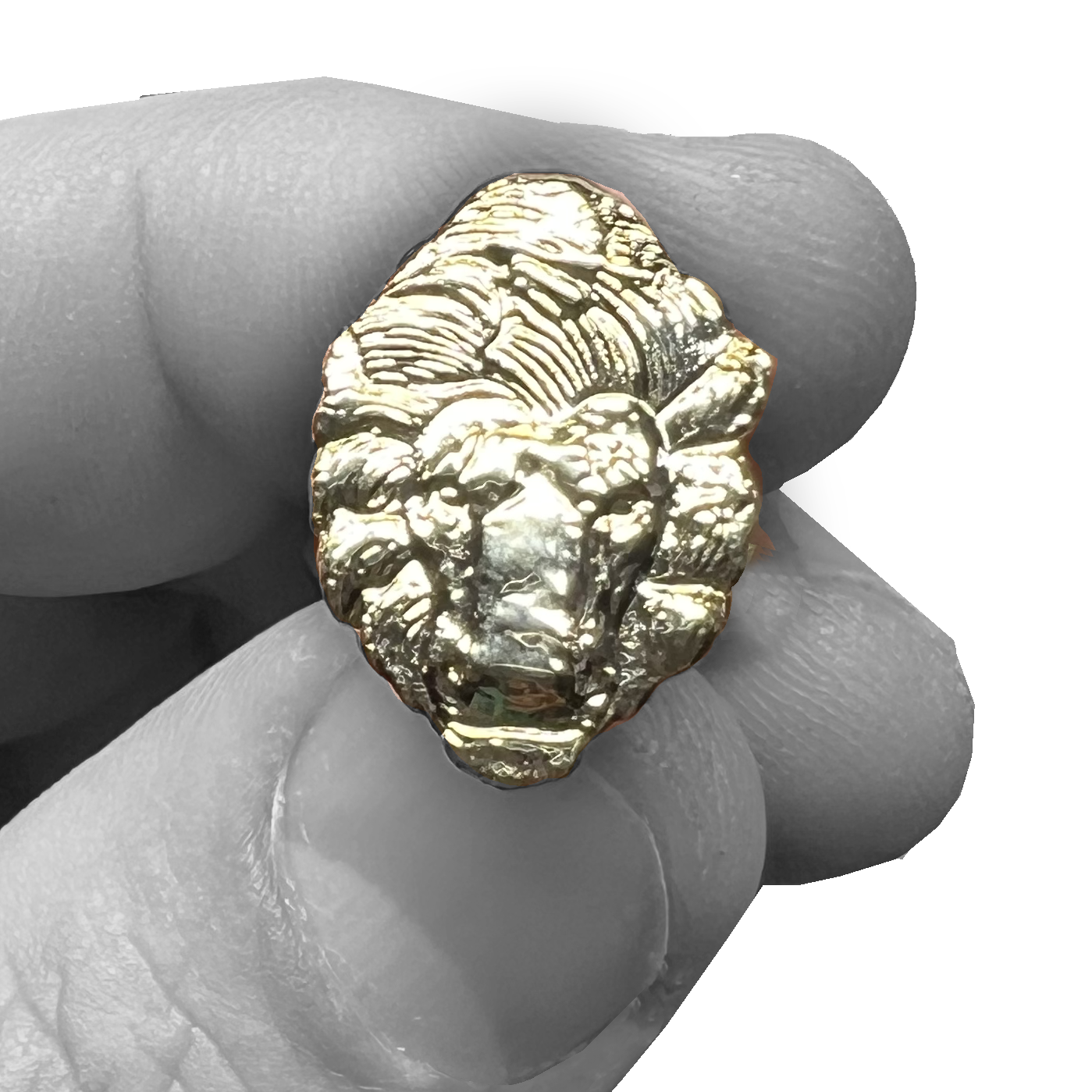 PBX-005-B Law Enforcement Officers Memorial National Police Memorial Lion Lapel Pin PBA FOP FLEOA