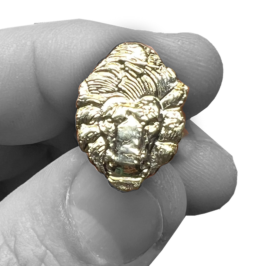PBX-005-B Law Enforcement Officers Memorial National Police Memorial Lion Lapel Pin PBA FOP FLEOA