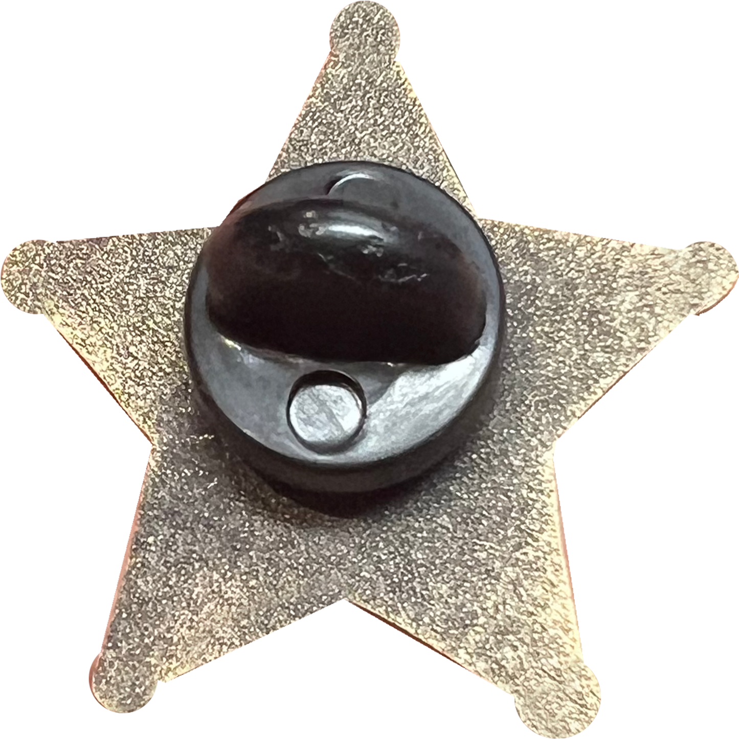 BFP-013 Polk County Florida Deputy Sheriff Lapel Pin Grady Judd
