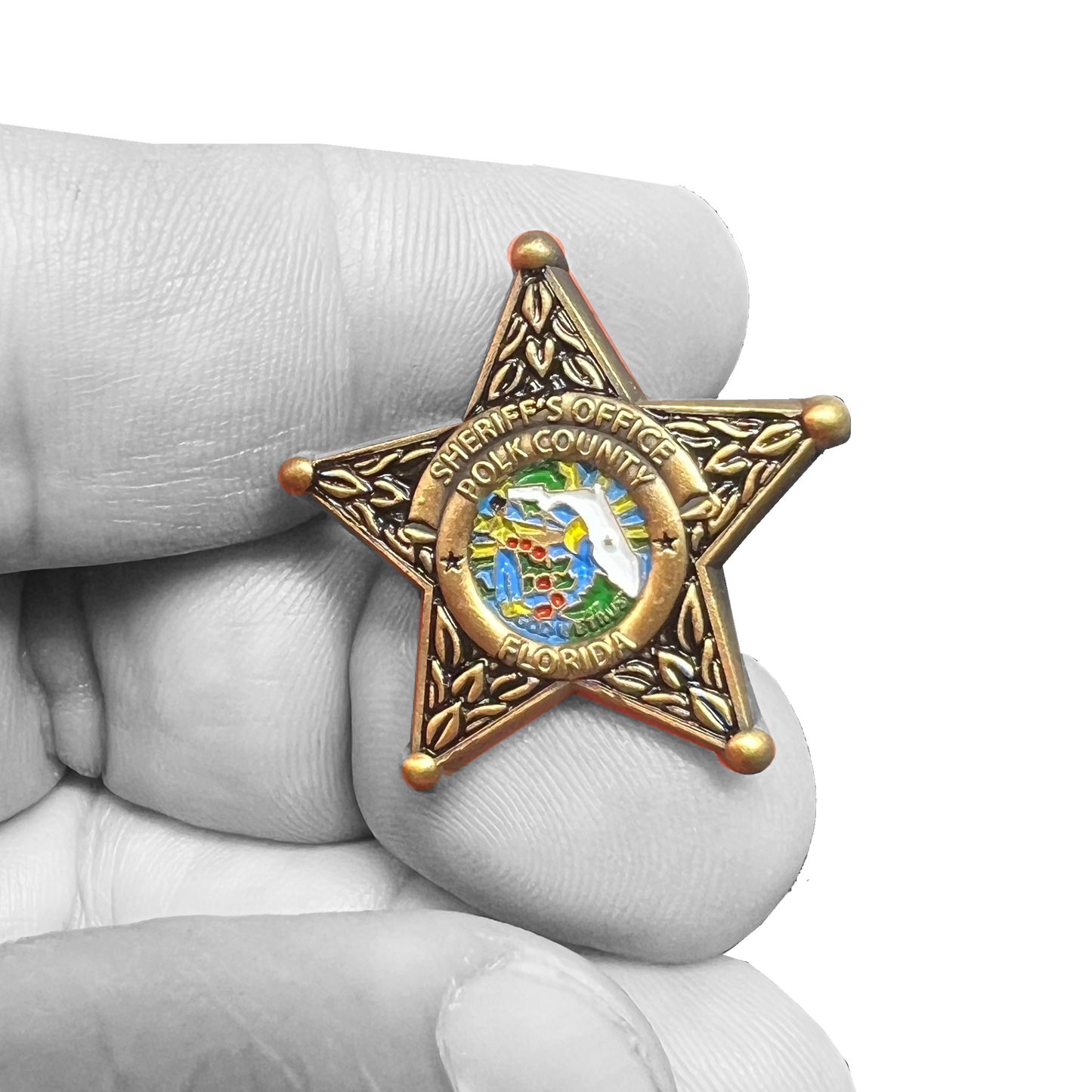 BFP-013 Polk County Florida Deputy Sheriff Lapel Pin Grady Judd