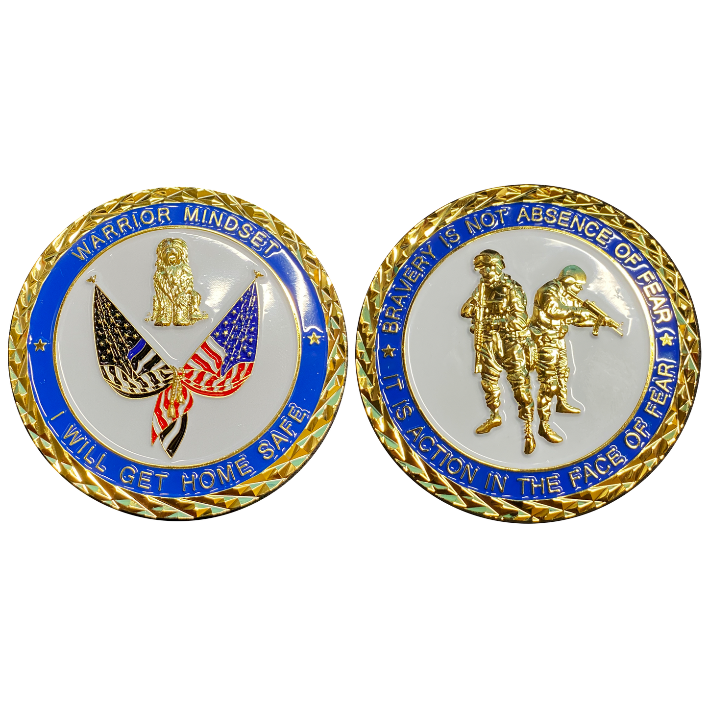 discontinued CL-PP WARRIOR MINDSET Thin Blue Line Sheep Dog Challenge Coin Police Sheriff FBI ATF CBP