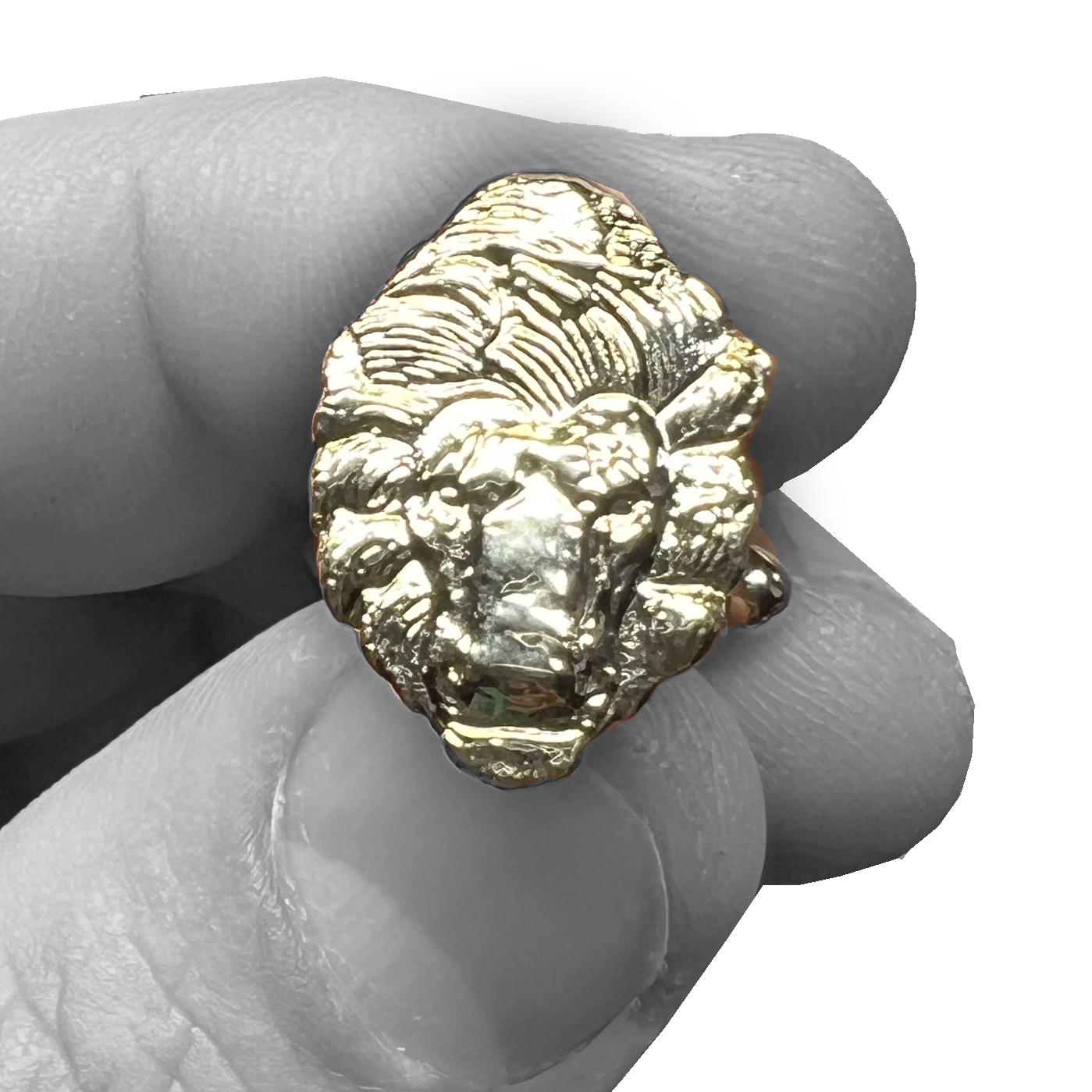 PBX-004-A Law Enforcement Officers Memorial National Police Memorial Lion Cufflinks PBA FOP FLEOA