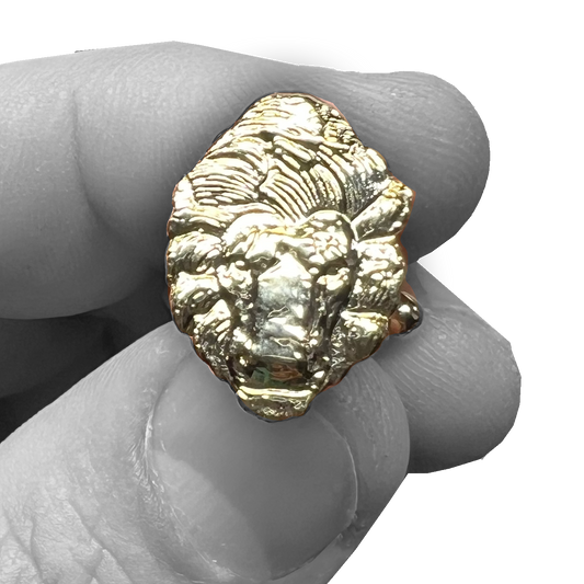 PBX-004-A Law Enforcement Officers Memorial National Police Memorial Lion Cufflinks PBA FOP FLEOA