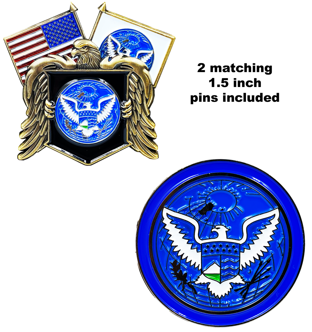 discontinued DL11-06 Large 2.75 inch Challenge Coin with 2 pins set Counter-Terrorism Homeland CBP HSI ICE FAM FPS USSS